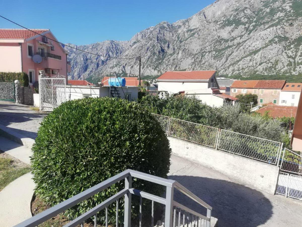 Apartments Alisa Kotor Kültér fotó